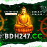 BDH247.CC SUPPORT