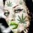 MamaMaMarihuana
