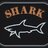 Shark.cc