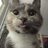 Limzu