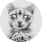 Luceffer_