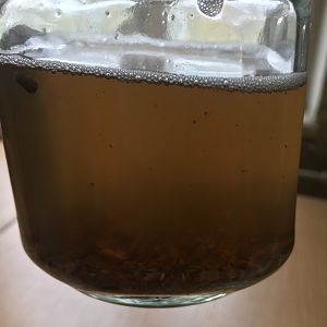 IMG_0005