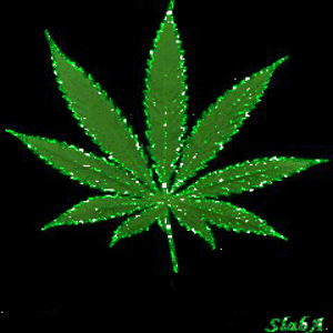 6E41DE51-2CA9-4277-9114-2CB4B589476F